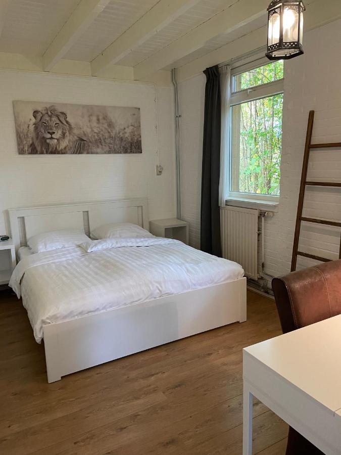 가셀트 Tofino, Een Comfortabel Vakantiehuis Naast Een Bos En Zwemmeer 빌라 외부 사진